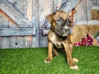 processed/2e0c781c-137b-45e9-b35c-f46ae3b52ab0/listing/226fc577-0cde-41ae-9e8a-6d796397a04f/9c998390-e309-4003-8c3d-32b394e85131