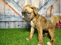 processed/2e0c781c-137b-45e9-b35c-f46ae3b52ab0/listing/226fc577-0cde-41ae-9e8a-6d796397a04f/cdab69f0-9292-4b40-9b7c-5fefa7cae5a5