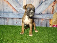 processed/2e0c781c-137b-45e9-b35c-f46ae3b52ab0/listing/226fc577-0cde-41ae-9e8a-6d796397a04f/eeba44b4-527c-4ae4-a9a5-d070b5219f95