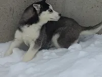 processed/2e0c781c-137b-45e9-b35c-f46ae3b52ab0/listing/24cb4103-1d8d-443c-9197-b979371cd540/32201d4a-5bbe-4226-a00b-44c771e15e96