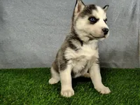 processed/2e0c781c-137b-45e9-b35c-f46ae3b52ab0/listing/24cb4103-1d8d-443c-9197-b979371cd540/c0c00e76-71ce-48c8-a849-2bb41c423a5a