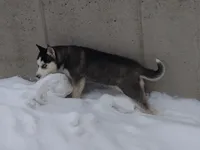 processed/2e0c781c-137b-45e9-b35c-f46ae3b52ab0/listing/24cb4103-1d8d-443c-9197-b979371cd540/c9575f35-a6ed-4d8b-9718-22f87b8d706a