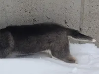 processed/2e0c781c-137b-45e9-b35c-f46ae3b52ab0/listing/24cb4103-1d8d-443c-9197-b979371cd540/d6032779-d406-4fd9-bbdc-26026a09ef84