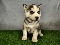 processed/2e0c781c-137b-45e9-b35c-f46ae3b52ab0/listing/24cb4103-1d8d-443c-9197-b979371cd540/da12c2e8-6aa5-469d-b3c5-c1a2225aa72f