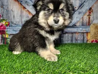 processed/2e0c781c-137b-45e9-b35c-f46ae3b52ab0/listing/2ce05643-65b0-4f38-8118-3f3c1da98823/04da905e-b5f0-415f-ac27-0315bad70195