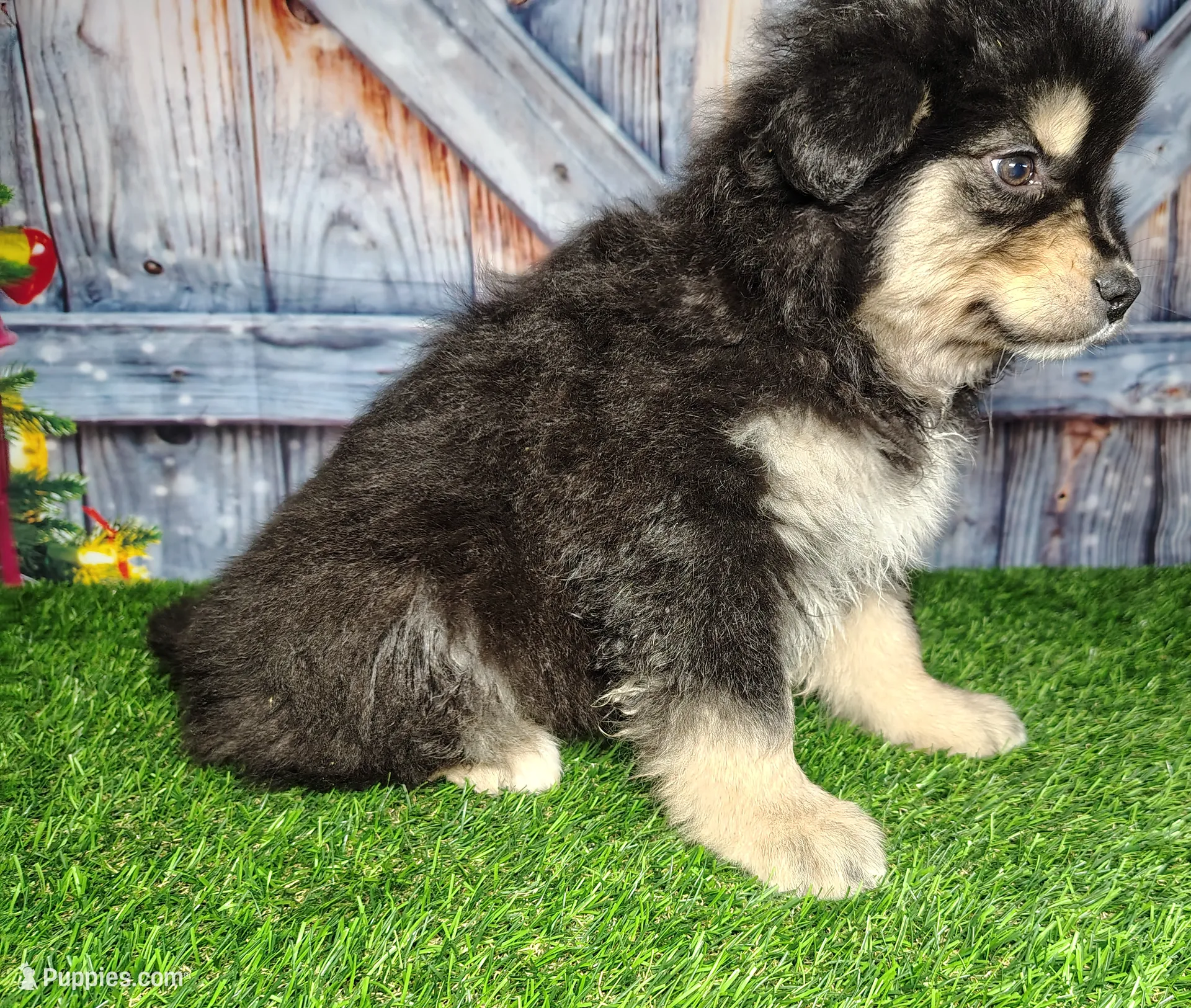 processed/2e0c781c-137b-45e9-b35c-f46ae3b52ab0/listing/2ce05643-65b0-4f38-8118-3f3c1da98823/0f4e40a5-2dc4-40f0-b48c-d57c3b5a6f39