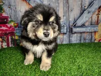 processed/2e0c781c-137b-45e9-b35c-f46ae3b52ab0/listing/2ce05643-65b0-4f38-8118-3f3c1da98823/cb9451b2-20bc-4a6a-8111-951628d9e5a9