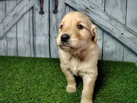 processed/2e0c781c-137b-45e9-b35c-f46ae3b52ab0/listing/35da38a6-2658-4f97-b008-a1d907a31470/b38c570d-c802-4f70-8274-8aaa940d3e41