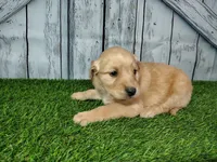 processed/2e0c781c-137b-45e9-b35c-f46ae3b52ab0/listing/35da38a6-2658-4f97-b008-a1d907a31470/d35c4d2e-6b68-42c8-8cba-1419b09d6587