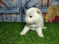 processed/2e0c781c-137b-45e9-b35c-f46ae3b52ab0/listing/39d56c55-ab33-4a95-ac50-8907739a695a/69916bd5-7849-4d04-a207-858de588da77