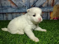 processed/2e0c781c-137b-45e9-b35c-f46ae3b52ab0/listing/39d56c55-ab33-4a95-ac50-8907739a695a/d180b54e-a7e3-439f-9c20-4d220aa68476