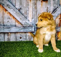 processed/2e0c781c-137b-45e9-b35c-f46ae3b52ab0/listing/4abff68e-8f01-4eec-8f7e-78e7d9e97f8a/250e2795-347b-47ae-9bde-9f410c44d13c