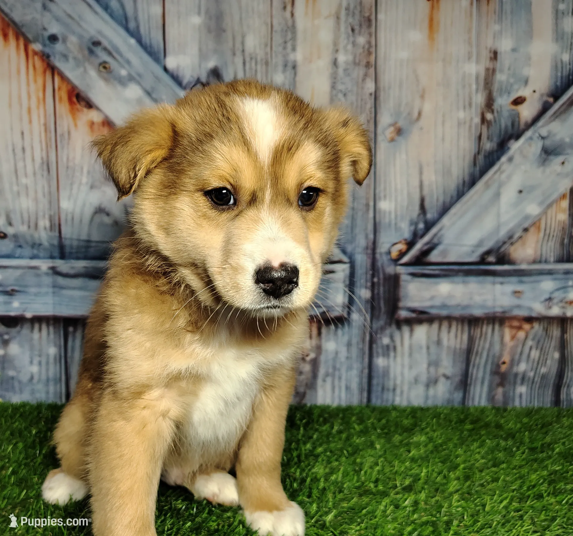 processed/2e0c781c-137b-45e9-b35c-f46ae3b52ab0/listing/4abff68e-8f01-4eec-8f7e-78e7d9e97f8a/3e0e3cbb-a494-4c44-9051-b4d4a8d6f62b