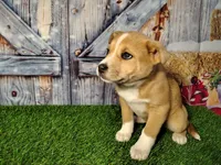 processed/2e0c781c-137b-45e9-b35c-f46ae3b52ab0/listing/60de9d9e-147c-4ec0-9a2d-716dd44b28b5/44d29e7a-19f4-48ed-bb2c-50751b681ad8