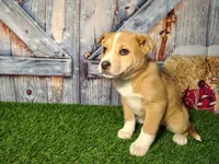 processed/2e0c781c-137b-45e9-b35c-f46ae3b52ab0/listing/60de9d9e-147c-4ec0-9a2d-716dd44b28b5/876d7f28-adef-4bf0-aa2b-84e917c58678