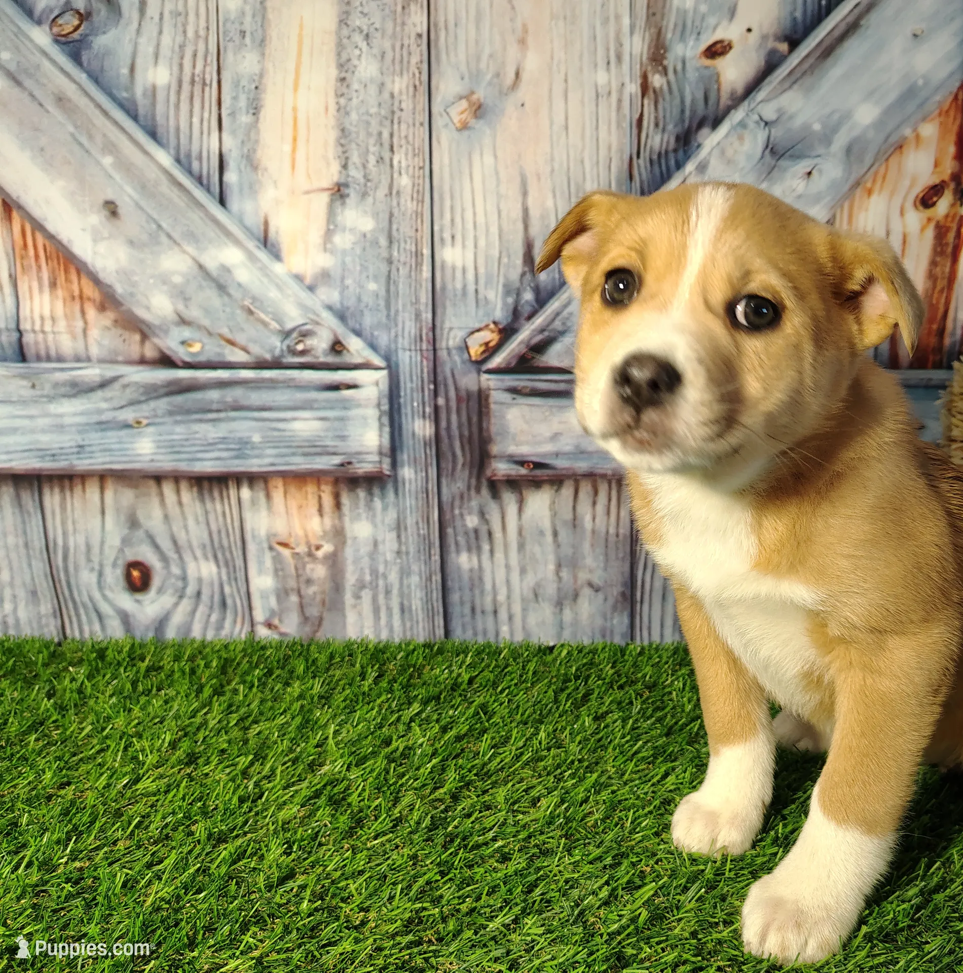 processed/2e0c781c-137b-45e9-b35c-f46ae3b52ab0/listing/60de9d9e-147c-4ec0-9a2d-716dd44b28b5/d318a321-f14f-4330-8789-2393de1707e4