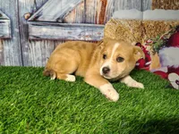 processed/2e0c781c-137b-45e9-b35c-f46ae3b52ab0/listing/60de9d9e-147c-4ec0-9a2d-716dd44b28b5/f8b60252-8521-4f12-b3d2-040277b86622