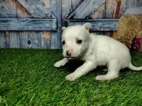 processed/2e0c781c-137b-45e9-b35c-f46ae3b52ab0/listing/66335a2c-3512-4c8f-a080-57068e2852ad/c1a8ac41-9158-41b8-9c15-593a6ba22409