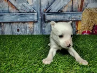 processed/2e0c781c-137b-45e9-b35c-f46ae3b52ab0/listing/66335a2c-3512-4c8f-a080-57068e2852ad/c4be009d-b192-41bd-aac6-637bf16a2bbb