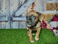 processed/2e0c781c-137b-45e9-b35c-f46ae3b52ab0/listing/6687c354-75d5-4fe2-a59c-9d9f6603465d/1775aeb3-564b-4b48-a0b3-fc948359f95a