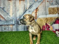 processed/2e0c781c-137b-45e9-b35c-f46ae3b52ab0/listing/6687c354-75d5-4fe2-a59c-9d9f6603465d/b81a516b-e664-4861-a011-61974b09db81