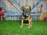 processed/2e0c781c-137b-45e9-b35c-f46ae3b52ab0/listing/6687c354-75d5-4fe2-a59c-9d9f6603465d/b8a641b0-be77-4ba9-b4d3-b08ea0af9b48