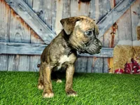 processed/2e0c781c-137b-45e9-b35c-f46ae3b52ab0/listing/6975c1af-1494-4aae-8b65-685b90279999/0e737b95-fb70-4cf3-93fb-2f53d96936e3