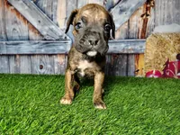 processed/2e0c781c-137b-45e9-b35c-f46ae3b52ab0/listing/6975c1af-1494-4aae-8b65-685b90279999/56da9b58-5495-4115-8f7e-760586c66a4e