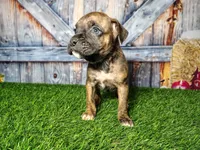 processed/2e0c781c-137b-45e9-b35c-f46ae3b52ab0/listing/6975c1af-1494-4aae-8b65-685b90279999/b924d535-10e6-4e9b-8016-17f9ed5904c5