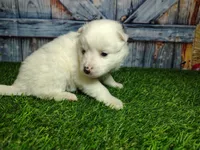 processed/2e0c781c-137b-45e9-b35c-f46ae3b52ab0/listing/73d52880-d7e2-426c-b70a-b3ece162654a/00f3a3a9-8070-4eff-bdeb-0359693b4972