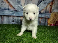 processed/2e0c781c-137b-45e9-b35c-f46ae3b52ab0/listing/73d52880-d7e2-426c-b70a-b3ece162654a/4388491b-edbb-443b-b8b1-036c57a2bc2f