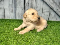 processed/2e0c781c-137b-45e9-b35c-f46ae3b52ab0/listing/82c0dc1a-6130-4685-8926-d45f36dd6451/7cd68fa7-4fba-44c8-9d3f-d86d22c4c953