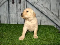 processed/2e0c781c-137b-45e9-b35c-f46ae3b52ab0/listing/82c0dc1a-6130-4685-8926-d45f36dd6451/d4c4cbfc-3822-427d-be4b-aff3956cf0b9