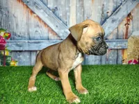 processed/2e0c781c-137b-45e9-b35c-f46ae3b52ab0/listing/84a818cd-e431-40af-87a3-1396f72d5ace/55a8fb63-6ff1-475b-a6a3-41b2132c2be7