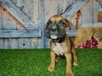 processed/2e0c781c-137b-45e9-b35c-f46ae3b52ab0/listing/84a818cd-e431-40af-87a3-1396f72d5ace/98b7b634-ac67-4c36-9006-9f059db90c0e