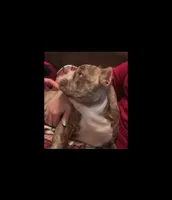 processed/2e0c781c-137b-45e9-b35c-f46ae3b52ab0/listing/94123a56-86a2-40c5-afae-2ee4c898c25c/05eeca21-6403-4f69-8692-feec93e58c43