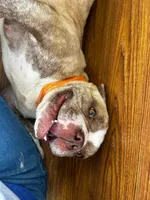 processed/2e0c781c-137b-45e9-b35c-f46ae3b52ab0/listing/94123a56-86a2-40c5-afae-2ee4c898c25c/5e450f5d-9643-45ad-85a8-4cd1ca8f9810