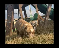 processed/2e0c781c-137b-45e9-b35c-f46ae3b52ab0/listing/94123a56-86a2-40c5-afae-2ee4c898c25c/613878ca-3cb7-4ccc-99d6-2c29e8c17a84