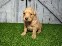 processed/2e0c781c-137b-45e9-b35c-f46ae3b52ab0/listing/949d48cf-a77d-4339-abd8-62250692193b/3d8426bf-0e60-4431-8f3d-790e02b93f8c