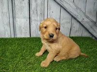 processed/2e0c781c-137b-45e9-b35c-f46ae3b52ab0/listing/949d48cf-a77d-4339-abd8-62250692193b/8e3dbbb2-3321-49e7-8119-c2052627abcb