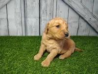 processed/2e0c781c-137b-45e9-b35c-f46ae3b52ab0/listing/949d48cf-a77d-4339-abd8-62250692193b/9cba4d9a-620b-4ad4-92b2-76d03a681cd1