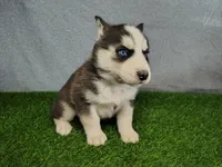 processed/2e0c781c-137b-45e9-b35c-f46ae3b52ab0/listing/9f13946f-567c-4131-bbd7-534246189ff9/33a3f69c-abd7-45c0-b1ec-67901b46821a