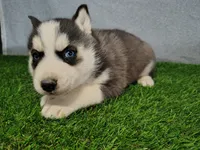 processed/2e0c781c-137b-45e9-b35c-f46ae3b52ab0/listing/9f13946f-567c-4131-bbd7-534246189ff9/5078633d-677d-46ba-8545-2cedf40b5569