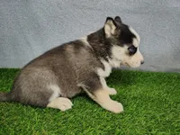 processed/2e0c781c-137b-45e9-b35c-f46ae3b52ab0/listing/9f13946f-567c-4131-bbd7-534246189ff9/f491c9dd-6945-4377-bb80-20530cd98c06