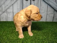 processed/2e0c781c-137b-45e9-b35c-f46ae3b52ab0/listing/a65da795-16fb-475b-86a2-eb94c0d7c401/e4badbd8-93e8-4a5e-ad46-5d8c1b01b9a4