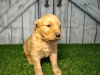 processed/2e0c781c-137b-45e9-b35c-f46ae3b52ab0/listing/a65da795-16fb-475b-86a2-eb94c0d7c401/e613b318-af10-449d-bc29-5941668563c0