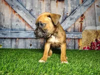 processed/2e0c781c-137b-45e9-b35c-f46ae3b52ab0/listing/c0f5353c-4f03-40f4-a84c-86597df0b991/c866f113-2416-4549-9432-2e08c9b9d03d