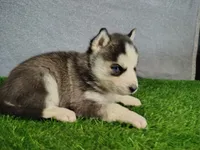 processed/2e0c781c-137b-45e9-b35c-f46ae3b52ab0/listing/e42bc4ab-48c8-453b-9a71-a681283a5386/2b2bc52e-fb5b-478c-bc93-8a167140ed5d