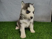 processed/2e0c781c-137b-45e9-b35c-f46ae3b52ab0/listing/e42bc4ab-48c8-453b-9a71-a681283a5386/cdfb2481-8f80-4494-90a9-39ce7484076a