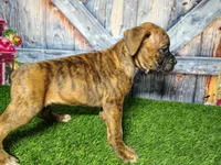 processed/2e0c781c-137b-45e9-b35c-f46ae3b52ab0/listing/ec15021d-e41d-4d93-bad0-43208b709aa4/23e28119-2e10-45f3-9812-1c2442114b0f